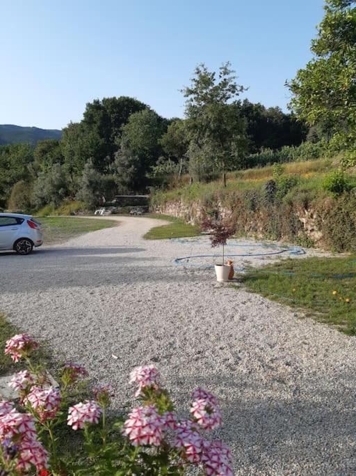 A Casa Com 2 Pereiras Bed and Breakfast Terras de Bouro Exteriör bild