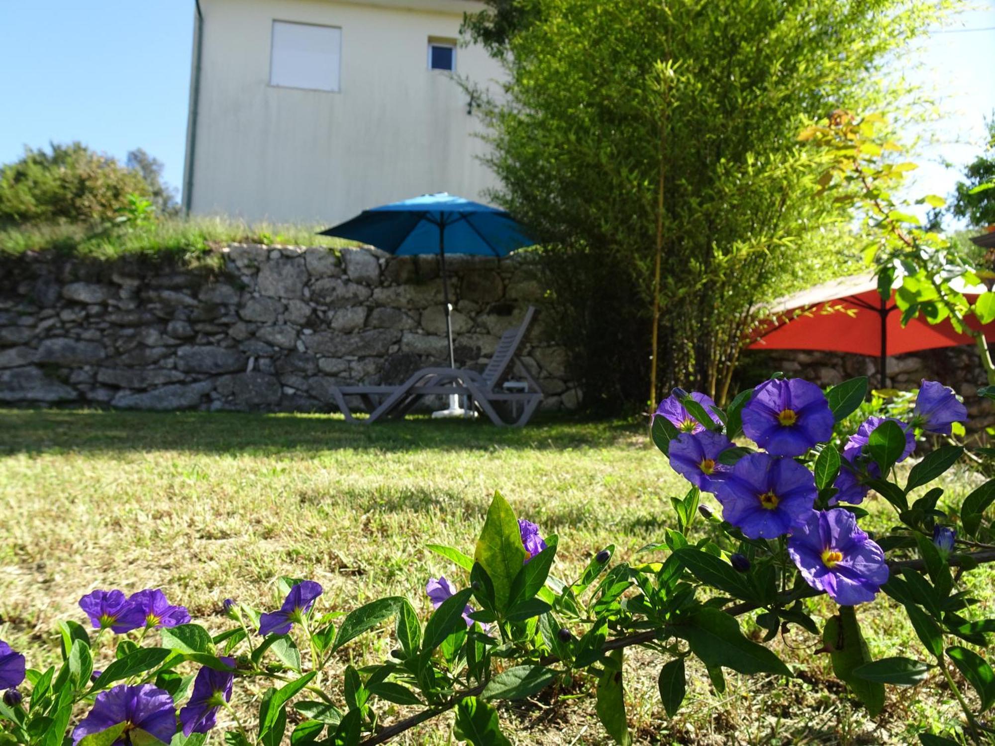 A Casa Com 2 Pereiras Bed and Breakfast Terras de Bouro Exteriör bild